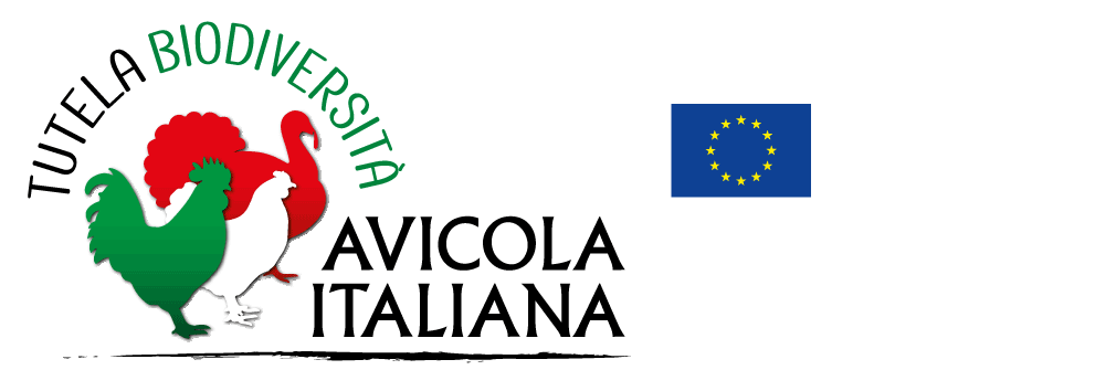 TuBAvI - Polli italiani