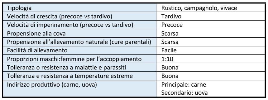 BiondaPiemontese-Allevamento