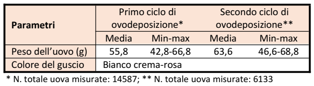 BiondaPiemontese-Uovo1