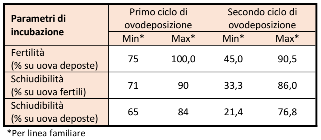 Livorno-Riproduttivi