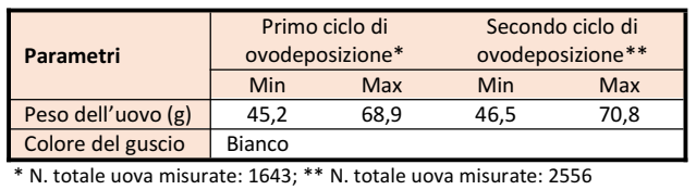 Livorno-Uovo1