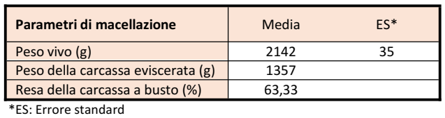 Modenese-Macellazione