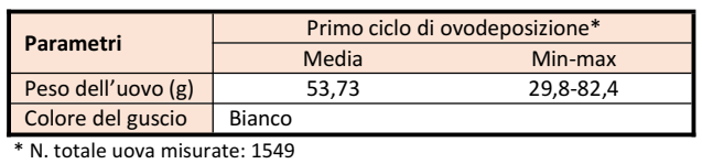 Modenese-Uovo1