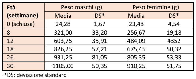 Mugellese-PesoCrescita