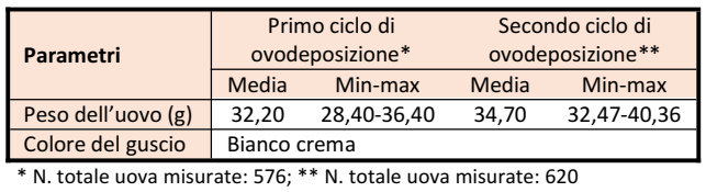 Mugellese-Uovo1