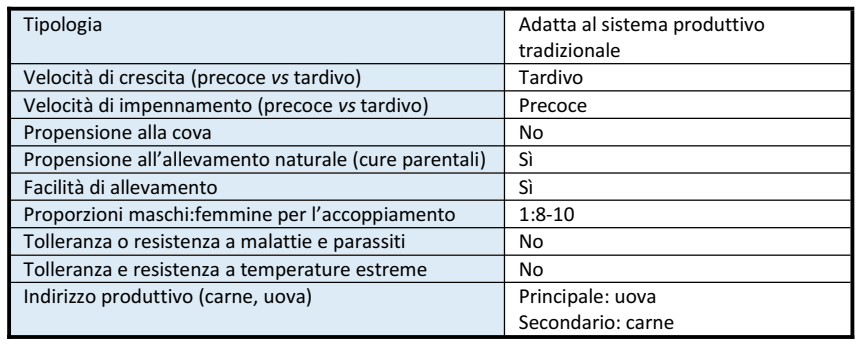 Padovana-Allevamento