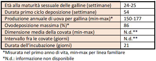 Ancona-Ovodeposizione