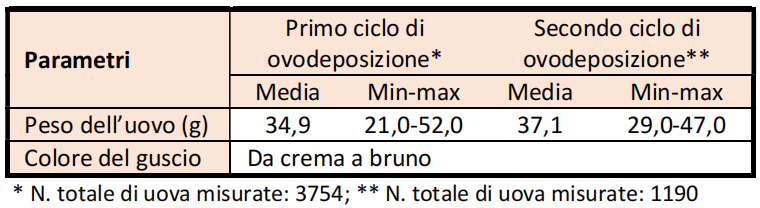 Mericanel-Uovo1
